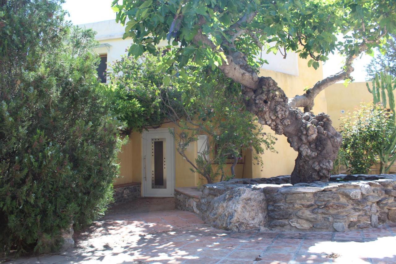 Paraiso Rural Orgiva Extérieur photo